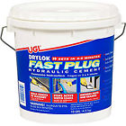 0799413 00924 Drylok Fast Plug 10 079941009243