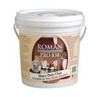 0171047 11301 Roman Adhesives Heavy Duty Clear Adhesive Gallon 017104113017
