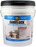 131005 Damplock Masonry Concrete Waterproofing Paint Low Odor Interior Exterior Gal