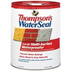 24105 Thompsons Waterseal Clear Waterproofer Exterior Sealer Wood Concrete Brick New