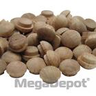 311038 General Tools Oak Button Plugs Pack Of Pcs 038728021052