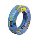 9171 3m 1 In Painters 0051115091711
