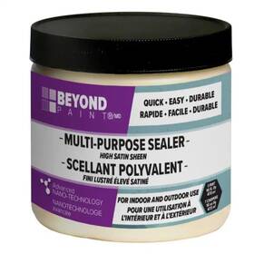 Beyond Paint 313102691619 1-pint Multi-purpose Indoor/outdoor High Satin Sheen Sealer