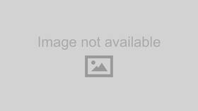 Birchwood Casey Bc-13132 Perma Blue Liquid Gun 32 Ounce Quart