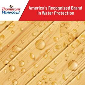 Th024101-16 Branded Thompsons Water Seal Multi-surface Concrete Waterproofer Clear 1-gallon Sealer