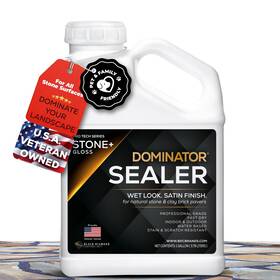 Pst01g Dominator 1 Gal. Stone Gloss Clear Acrylic Sealer Satin Finish Clay Br