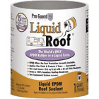 F99911 Proguard Liquid Roof Epdm Rv Coating Gallon Leaks 609722958639