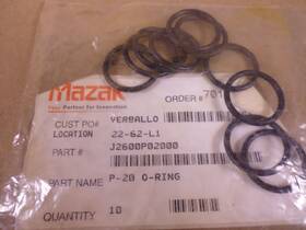 J2600p02000 Mazak 10 Pack Oem O-ring P-20