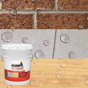 00420540 Olympic Waterguard Clear Multi-surface Waterproofing Sealant 5 Gal Wood Concrete Masonr