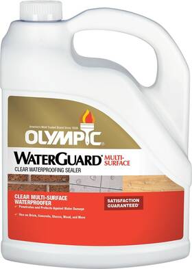00440120 Olympic Waterguard Exterior Multi-surface Stain Sealer Transparent Clear 1 Gal