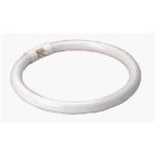 P129 Zadro 7-in Surround Light 705004420532
