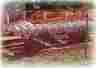 Sf101r 045143281015