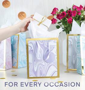 Smsekish 744759738806 Medium Gift Bag Set - 5 Bags With Tissue Paper Elegant Design