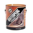T5002 Thoro Gallon Waterplug Hydraulic Cement 080492050028