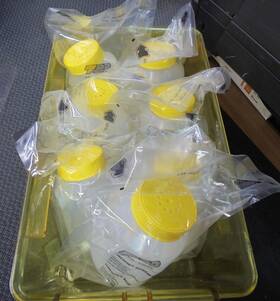 87600 Tpp Tubespin Bioreaktor 600 600ml Lot Of 8