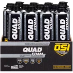 Quad 21.1 Oz. Window And Door Spray Foam Sealant (12-PACK). Fixed Price $240.80.