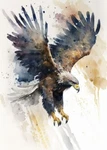 Eagle Watercolor Premium Poster Film Print High Quality Thick Paper. Fixed Price $8.56.