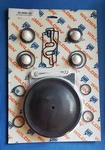 Wilden Pump Rebuild Elastomer Wet Kit P2 Plastic Teflon Fitted 02-9552-55 **new*. Fixed Price $120.00.