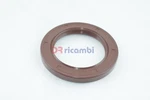 Oil Seal Differential Rear For Fiat Panda 4X4 169 Sog 103055. Fixed Price $21.65.