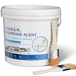 Waterproof Coating Transparent 175 Oz Kg Liquid Sealant Xmntdo Invisible Agent. Fixed Price $89.99.