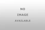 Geocel GC24800 Pro Flex Rv Instant Roof Repair Mu. Fixed Price $47.41.