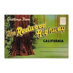 Greeting From The Redwood Highway, Ca 18 Double-sided Color Views Folder. Fixed Price $6.00.