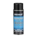 Quicksilver 802878Q1 Phantom Black - Gloss Enamel Spray Paint. Fixed Price $21.29.