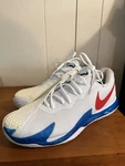 Nike Men's Zoom Vapor Cage 4 Rafa White Binary Blue Red Size 10.5 Updated Photos. Fixed Price $95.00.