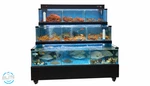 60" Grocery Store Glass Shelf Case Restaurant Sea Food Display Fish Tank 220V. Fixed Price $5975.00.