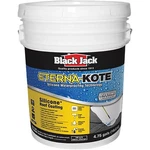 Gardner Gibson 5576-1-30 5'S Black Jack White Eterna-kote Silicone Roof Coating. Fixed Price $976.78.