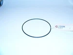 Bell & Gossett 35947 Xylem- J94131 O-ring. Fixed Price $80.63.