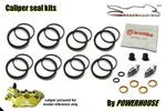 Moto Guzzi V10 Centauro Gt 1000 Front Brake Caliper Seal Repair Rebuild Kit 1998. Fixed Price $93.96.