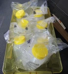 Tpp 87600 Tubespin Bioreaktor 600ML Lot Of. Fixed Price $74.99.