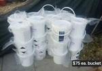 Polyurethane Adhesive. Fixed Price $75.00.