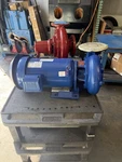 Pentair Aurora Centrifugal Pump No 17-251726 Size 2.53 7B Type 341A Bf Head New. Fixed Price $1500.00.